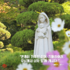 루카 1,26-38 한국 교회의 수호자, 원죄 없이 잉태되신 복되신 동정 마리아 대축일